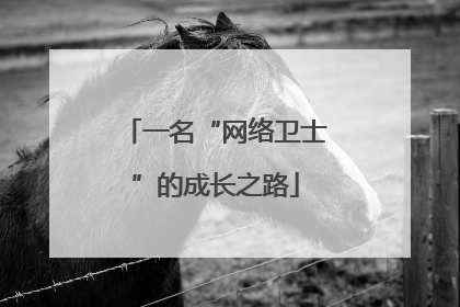 一名“网络卫士”的成长之路